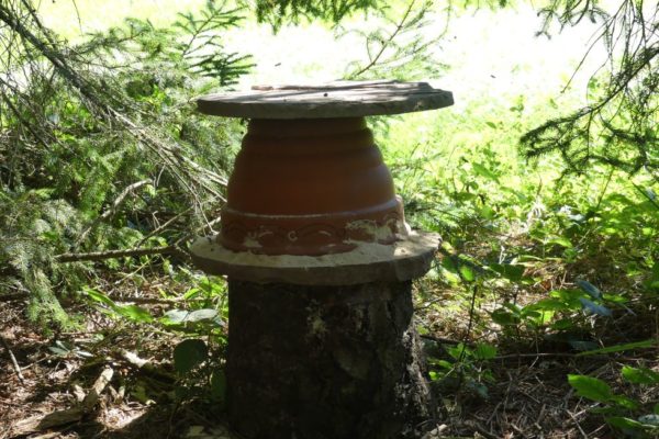 Blumentopf im Wald