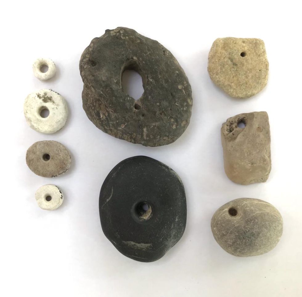 Durchbohrte Zähne vom Wildpferd, Bär, Wolf und Dachs. Fundorte Sipplingen und Unteruhldingen.