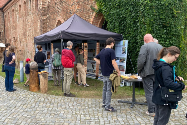 brandenburg-steinzeit-bienenhaltung