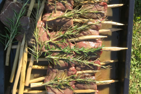 Steinzeitdinner-rehruecken